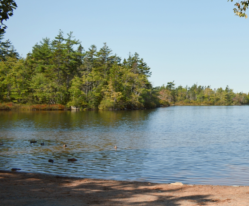 Kiwanas Beach Cole Harbour Nova Scotia 2